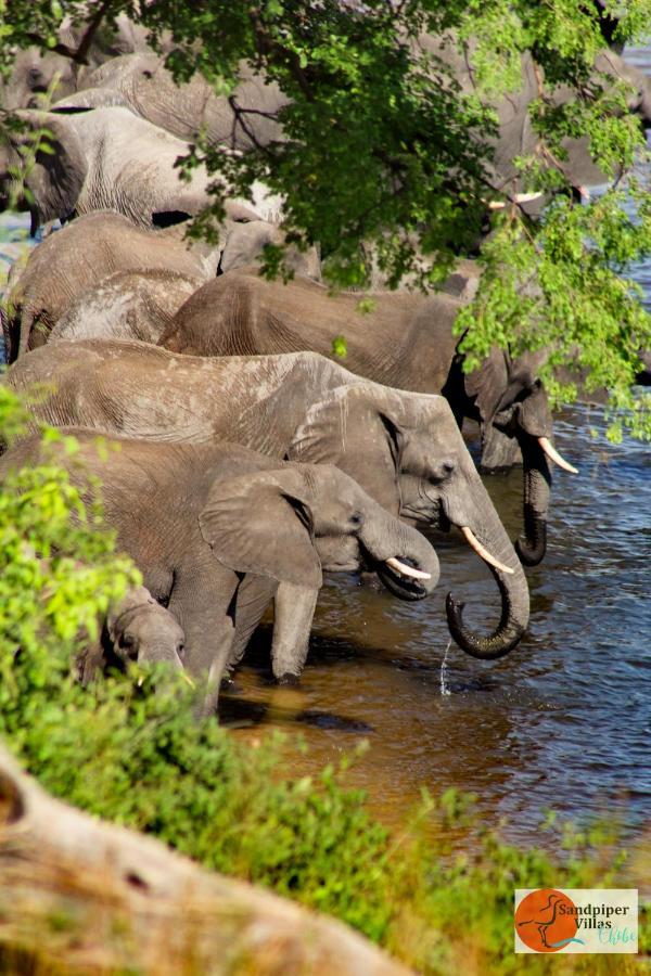 Sandpiper Villas Chobe Kasane Exterior photo